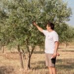 Prends racine au domaine — Dimitri dans un olivier de Plantier Agricole