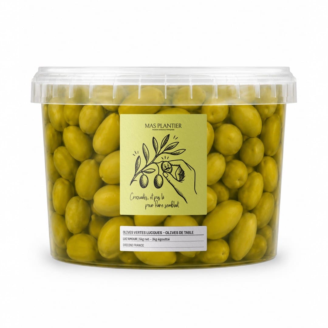 Seau de 5 kg d'olives vertes Lucques Mas Plantier